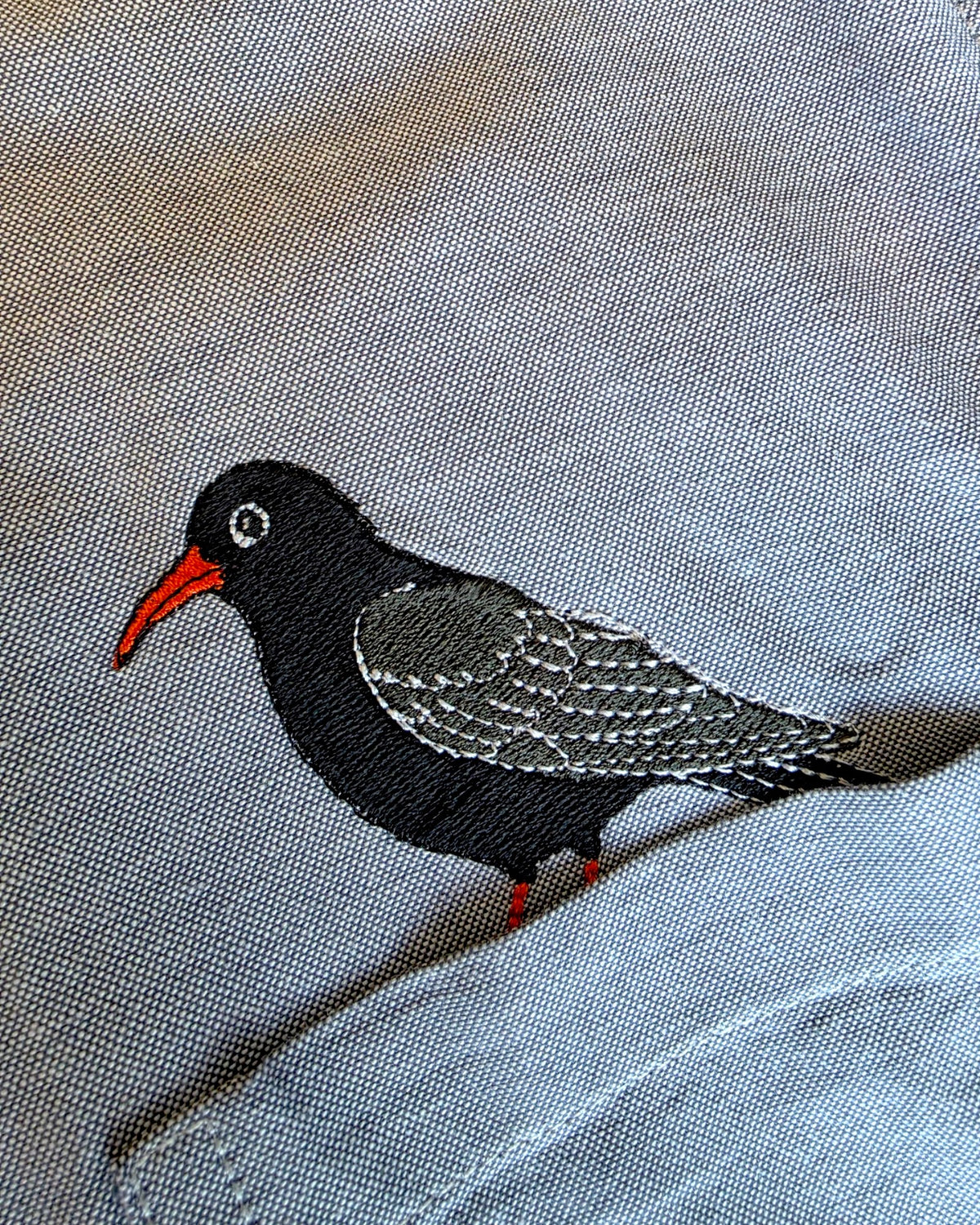 Cornish Chough Shirt, Size Small