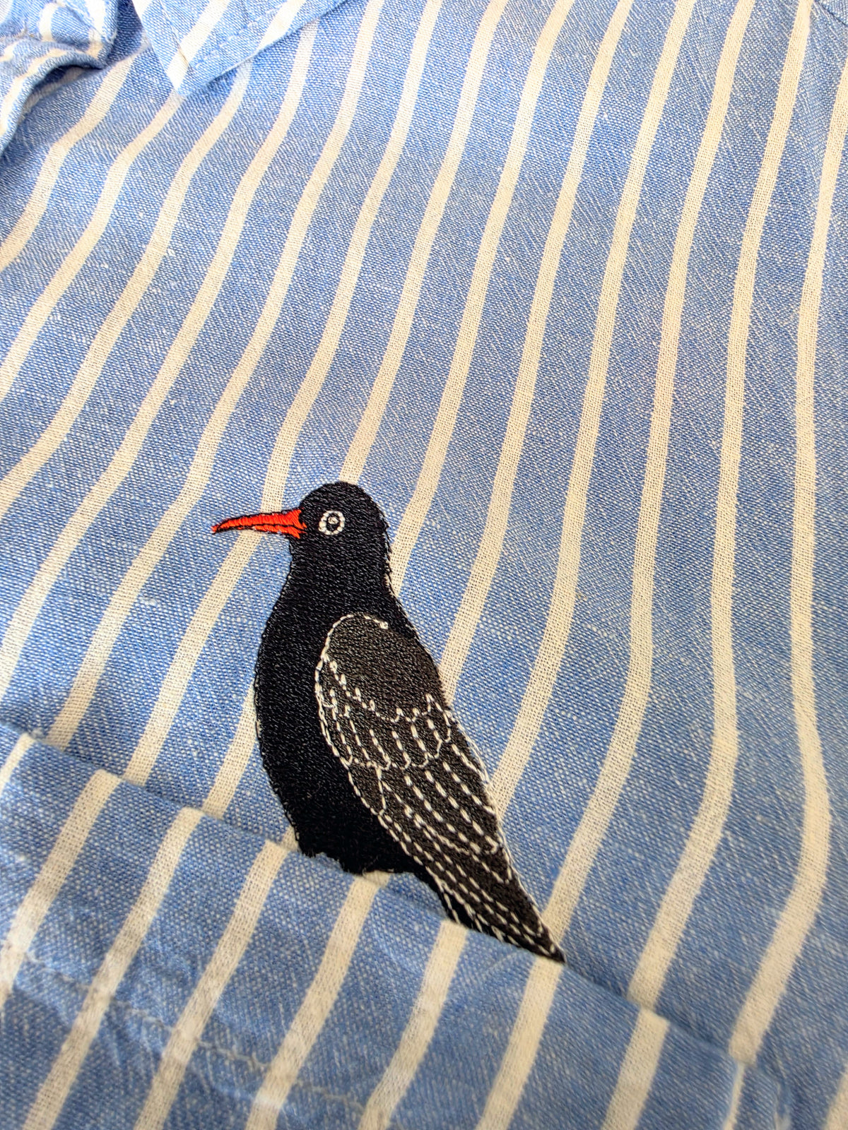 Chough Shirt, Size 12