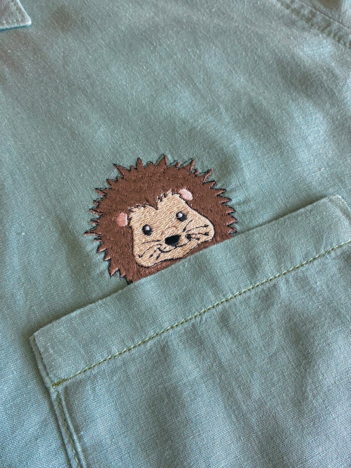 Hedgehog Shirt, Size 20